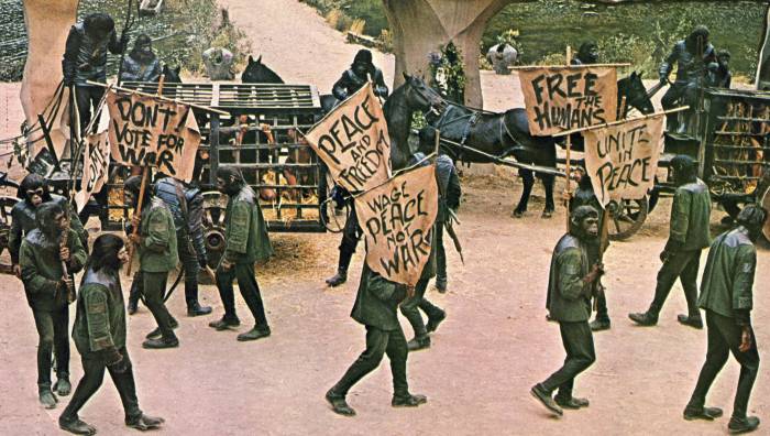 La critique de la guerre par les chimpanzés ne peut que faire écho aux manifestations contre la Guerre du Vietnam que l'Amérique connaît alors.